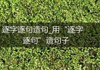 逐字逐句造句_用“逐字逐句”造句子