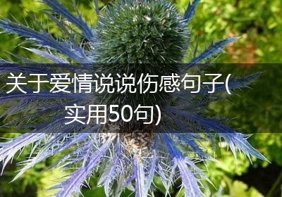 关于爱情说说伤感句子(实用50句)