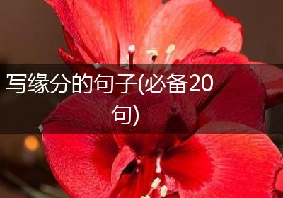 写缘分的句子(必备20句)