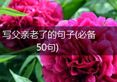 写父亲老了的句子(必备50句)