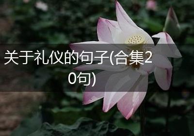 关于礼仪的句子(合集20句)