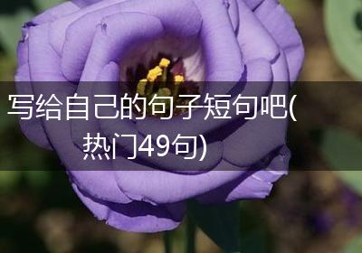 写给自己的句子短句吧(热门49句)
