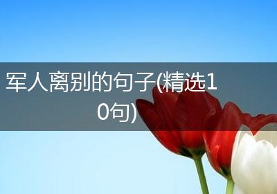 军人离别的句子(精选10句)