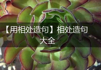 【用相处造句】相处造句大全