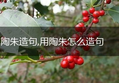 陶朱造句,用陶朱怎么造句
