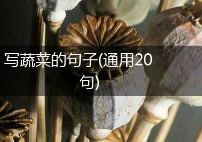 写蔬菜的句子(通用20句)