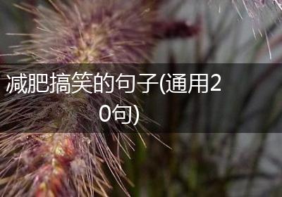 减肥搞笑的句子(通用20句)