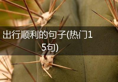 出行顺利的句子(热门15句)