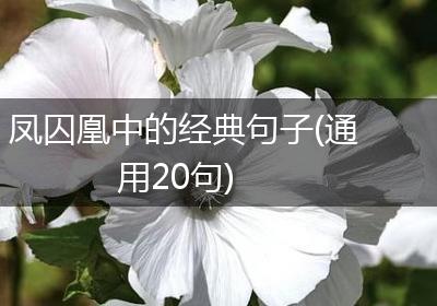 凤囚凰中的经典句子(通用20句)
