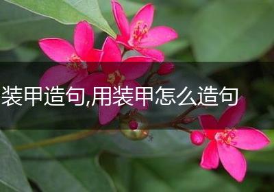 装甲造句,用装甲怎么造句