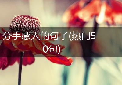分手感人的句子(热门50句)