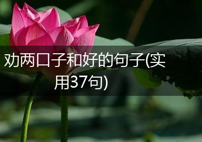 劝两口子和好的句子(实用37句)