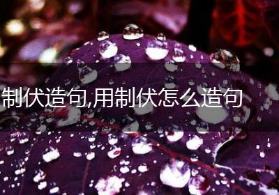 制伏造句,用制伏怎么造句