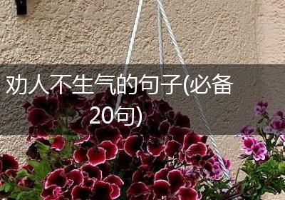劝人不生气的句子(必备20句)