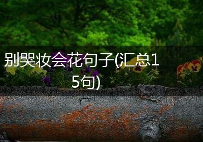 别哭妆会花句子(汇总15句)