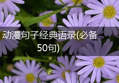 动漫句子经典语录(必备50句)