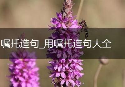 嘱托造句_用嘱托造句大全