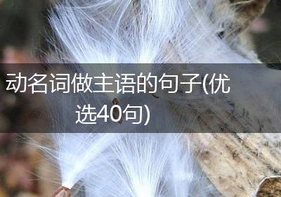 动名词做主语的句子(优选40句)