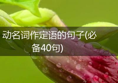动名词作定语的句子(必备40句)