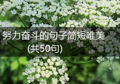 努力奋斗的句子简短唯美(共50句)