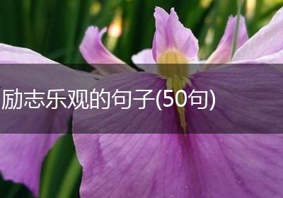 励志乐观的句子(50句)