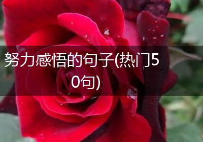 努力感悟的句子(热门50句)
