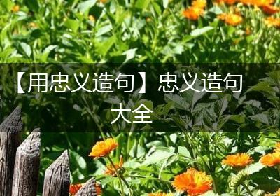 【用忠义造句】忠义造句大全