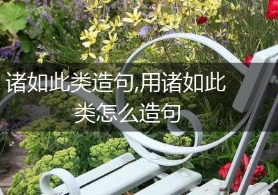 诸如此类造句,用诸如此类怎么造句