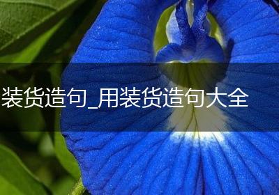 装货造句_用装货造句大全