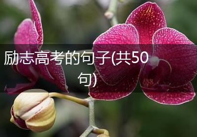励志高考的句子(共50句)
