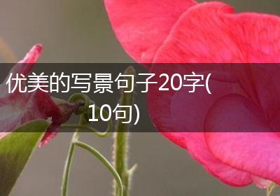 优美的写景句子20字(10句)