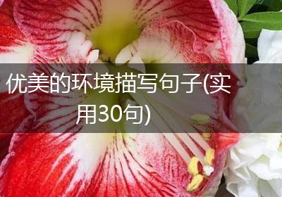 优美的环境描写句子(实用30句)