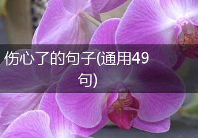 伤心了的句子(通用49句)