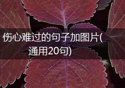 伤心难过的句子加图片(通用20句)