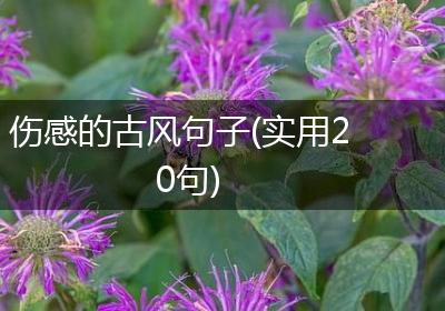 伤感的古风句子(实用20句)