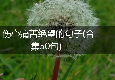 伤心痛苦绝望的句子(合集50句)