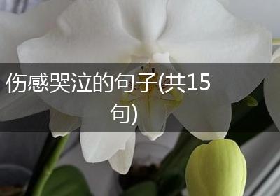 伤感哭泣的句子(共15句)