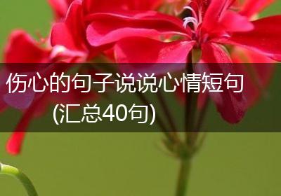 伤心的句子说说心情短句(汇总40句)
