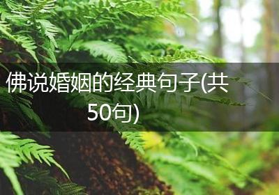 佛说婚姻的经典句子(共50句)