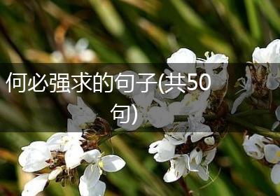 何必强求的句子(共50句)