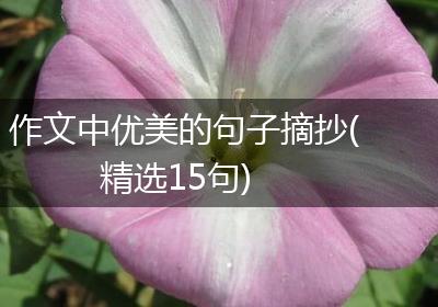 作文中优美的句子摘抄(精选15句)