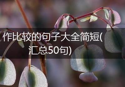 作比较的句子大全简短(汇总50句)
