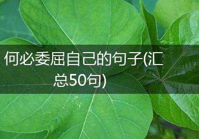 何必委屈自己的句子(汇总50句)