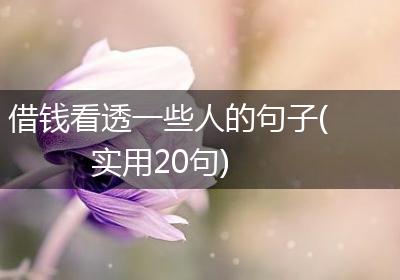借钱看透一些人的句子(实用20句)