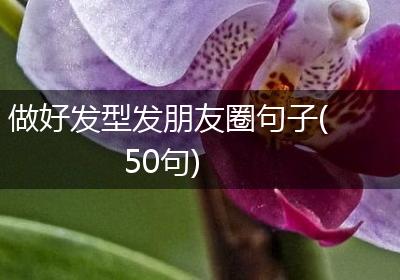 做好发型发朋友圈句子(50句)