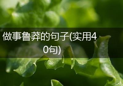 做事鲁莽的句子(实用40句)