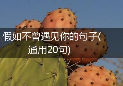 假如不曾遇见你的句子(通用20句)
