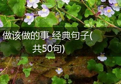 做该做的事 经典句子(共50句)