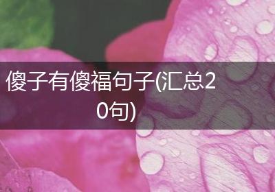 傻子有傻福句子(汇总20句)