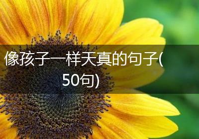 像孩子一样天真的句子(50句)